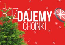 Choinki od Millenium Hall!